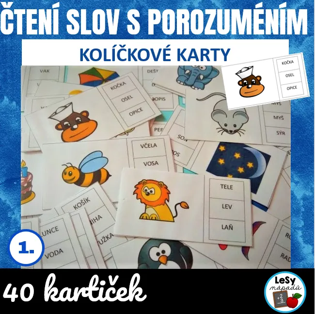 Čtení slov s porozuměním