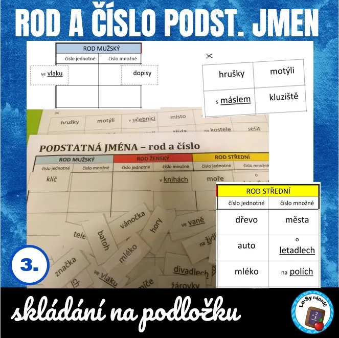 Rod a číslo podstatných jmen - třídění