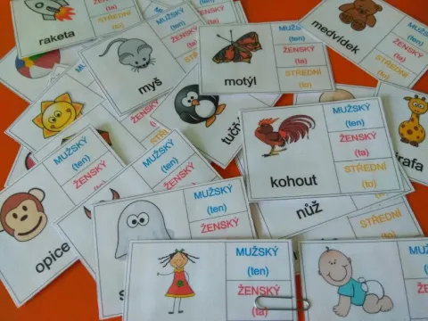 Materiál Rod podstatných jmen - kolíčkové karty použitý ve třídě