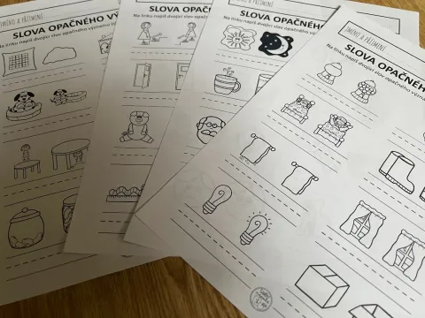 Materiál SADA - Obrázkové opaky použitý ve třídě