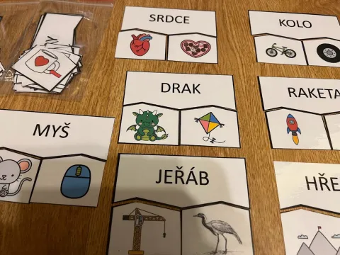 Materiál Slova mnohovýznamová - puzzle použitý ve třídě