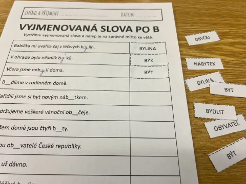 Materiál Tvary vyjmenovaných slov ve větách použitý ve třídě
