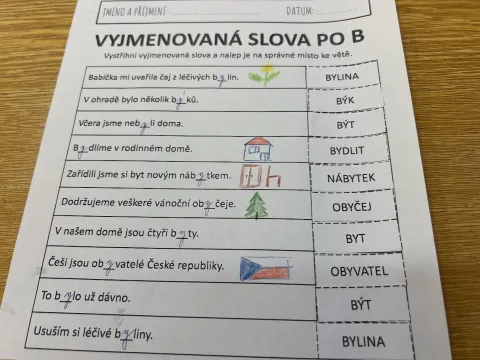 Materiál Tvary vyjmenovaných slov ve větách použitý ve třídě