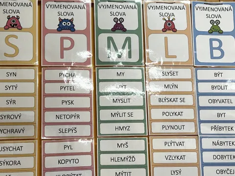 Materiál Vyjmenovaná slova pro hry s plácačkou a plakáty  použitý ve třídě