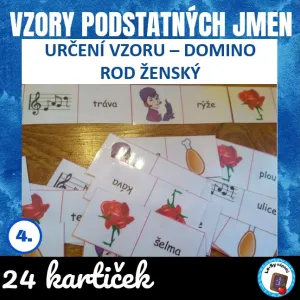 Vzory podst. jmen, rod ženský - domino
