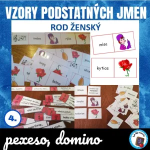 SADA - Vzory podst. jmen, rod ženský