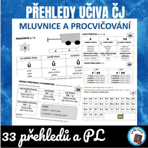Přehledy mluvnice českého jazyka