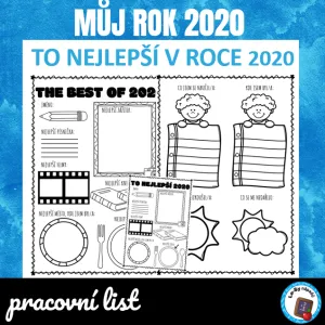 Můj rok 2020