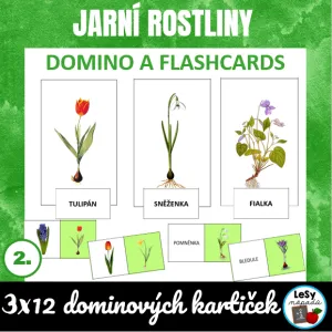 Jarní rostliny - domino a flashcards