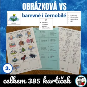 Obrázková vyjmenovaná slova (B-Z)