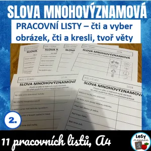 Slova mnohovýznamová - PL