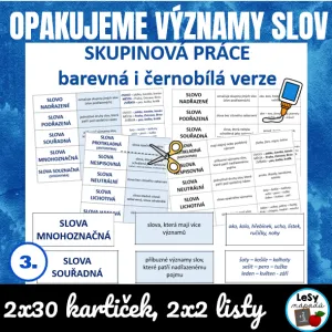 Opakujeme významy slov - skupinová práce