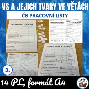 Tvary vyjmenovaných slov ve větách