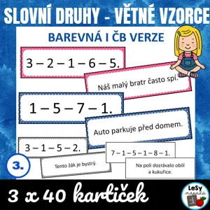 Slovní druhy - větné vzorce. 
