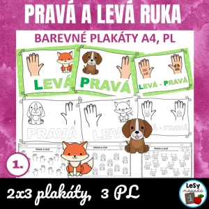 Levá a pravá ruka