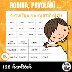 Slovíčka na kartičkách - povolání, rodina, přídavná jména