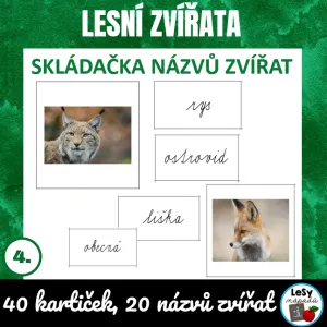 Lesní zvířata - skládání názvů