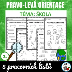 Pravo-levá orientace