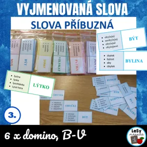 Vyjmenovaná slova - slova příbuzná