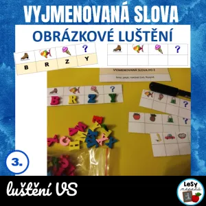 Vyjmenovaná slova - obrázkové luštění