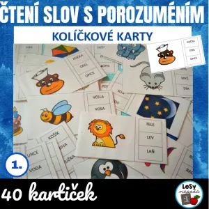 Čtení slov s porozuměním