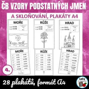 Čb vzory se skloňováním - plakáty