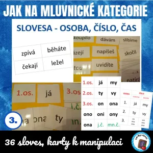 Jak na mluvnické kategorie - osoba, číslo, čas u sloves 
