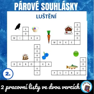 Párové souhlásky - luštění