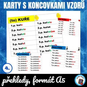 Vzory podst. jmen - karty se skloňováním