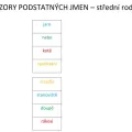 Vzory podst. jmen, rod střední - kolíčkové karty, náhled 8