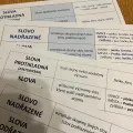 Opakujeme významy slov - skupinová práce, náhled 2