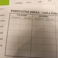Rod a číslo podstatných jmen - třídění, náhled 3
