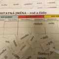 Rod a číslo podstatných jmen - třídění, náhled 4